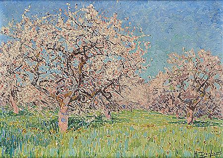 Pommiers en fleurs