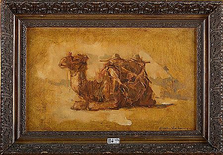 "Chameau au repos"