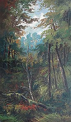 Native Bush, Northland