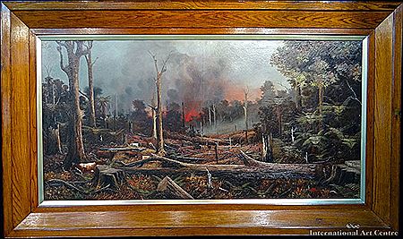 Bush Fire in the King Country