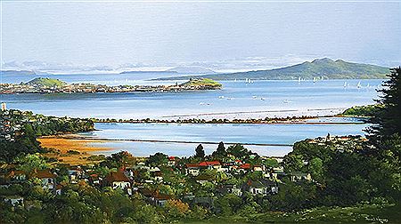 Waitemata Harbour from Mt Hobson