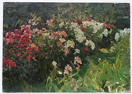 Flox flower garden