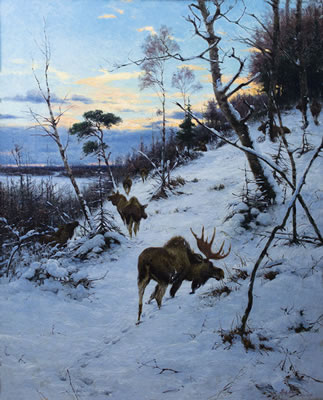 Moose in a Winter Landscape
