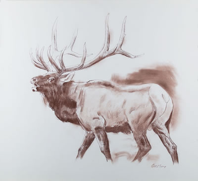 Bugling Elk