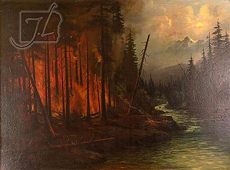 Forest Fire