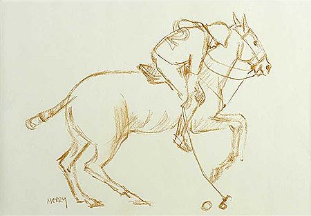 POLO PONY