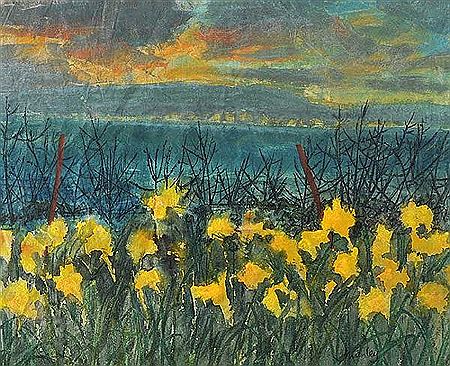 WILD DAFFODILS