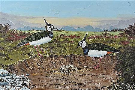 LAPWINGS by William Huston - Auction record, sale price, and art valuation. Compare with similar artists and explore comparable artworks.