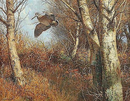 WOODCOCK
