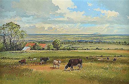 BLEMISH FROM THE OLD SWEAT HOUSE HILL, MAGHERA by David Long - Auction record, sale price, and art valuation. Compare with similar artists and explore comparable artworks.