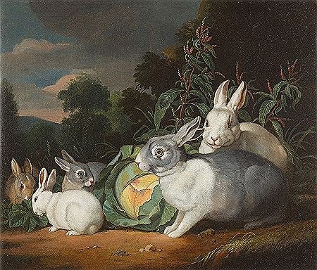 Landschaft mit Kaninchenfamilie um einen Kohlkopf