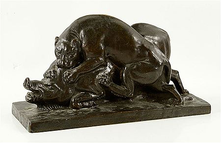 Depicting wild boar hunted by a mountain lion