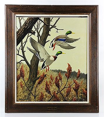 Don Eckelberry - artist photo for art wanted listing (South Portland, ME)