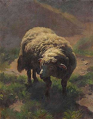Sheep on the pasture