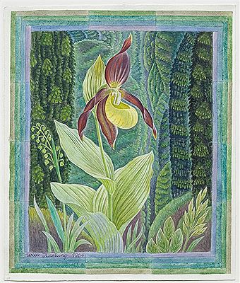 Lady's slipper orchid. 1964