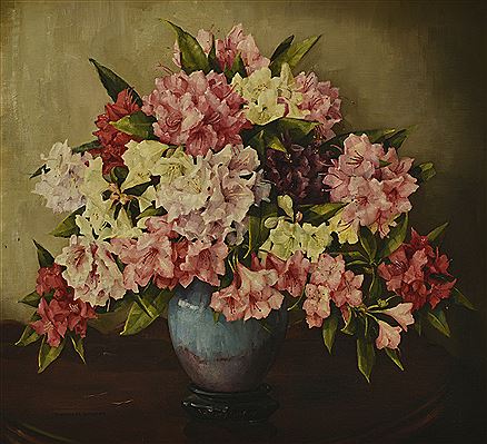 Rhododendrons