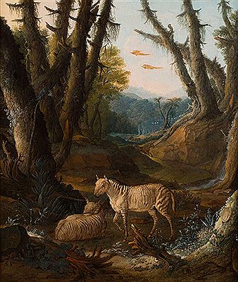 Zèbres dans un paysage de forêt