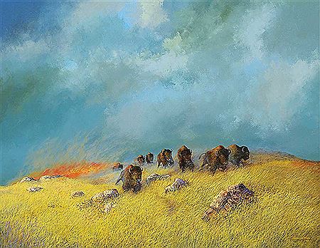 Untitled - Stampeding Buffalo