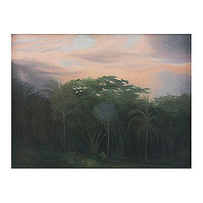 Llegando al Pintadeño, Nayarit