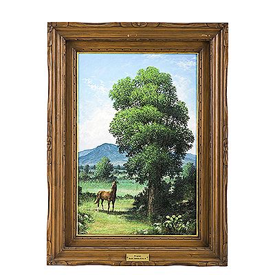 Caballo a la sombra del encino.