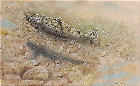 Trout on the riverbed by Robin Armstrong - Auction record, sale price, and art valuation. Compare with similar artists and explore comparable artworks.