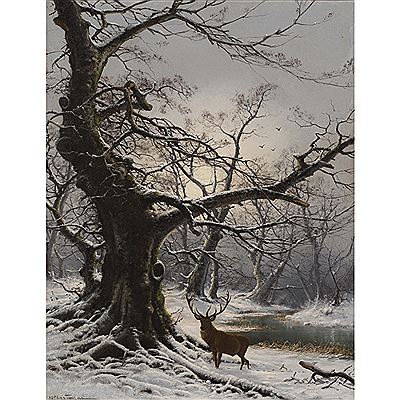 STAG IN A SNOW COVERED WOODED LANDSCAPE