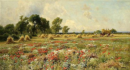 HAYMAKING