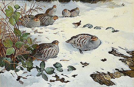A COVEY OF PARTRIDGE by Berrisford Hill - Auction record, sale price, and art valuation. Compare with similar artists and explore comparable artworks.
