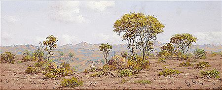 BUSHVELD LANDSCAPE SOUTH AFRICA
