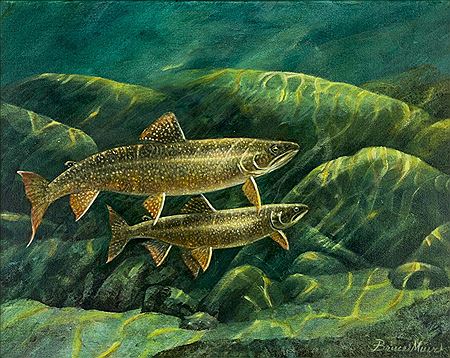 LAKE TROUT by Bruce Muir - Auction record, sale price, and art valuation. Compare with similar artists and explore comparable artworks.