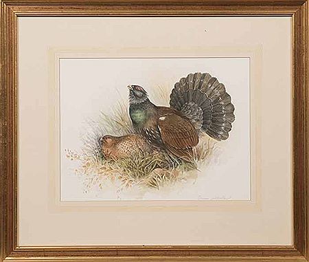 CAPERCAILLIES by Dianne Sutherland - Auction record, sale price, and art valuation. Compare with similar artists and explore comparable artworks.