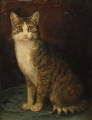 Katzenportrait