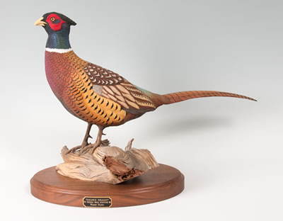 Ringneck Pheasant