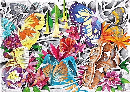 Butterfly, 2016