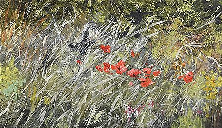 Poppies