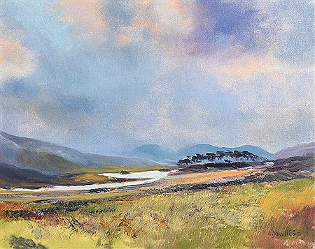 Derryclare Island by Michael F Downes - Auction record, sale price, and art valuation. Compare with similar artists and explore comparable artworks.