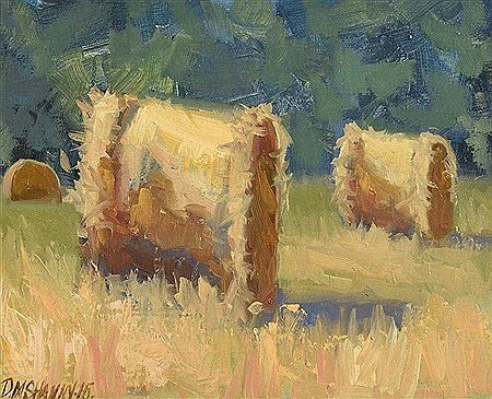 Hay Bales in Meath