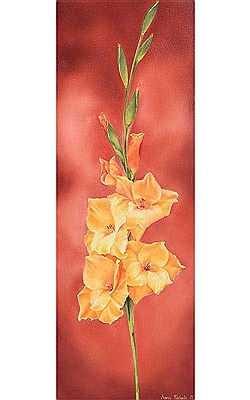 Gladioli