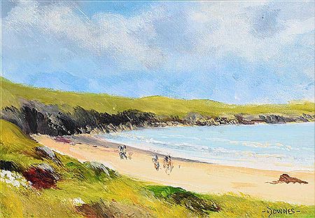 Goat Island, Near Ardmore, Co Waterford
