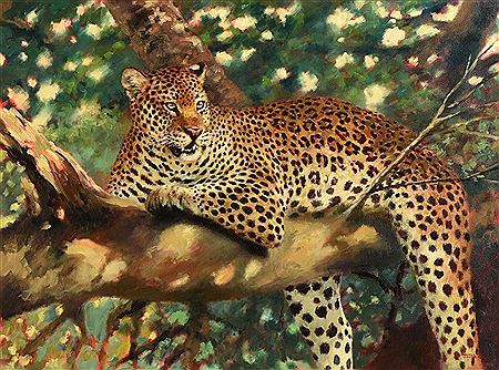 Lepoard Resting in a Tree