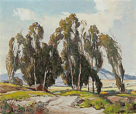 ''Montrose Eucalyptus''
