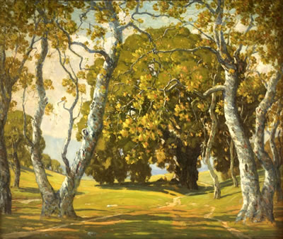 Through the Sycamores