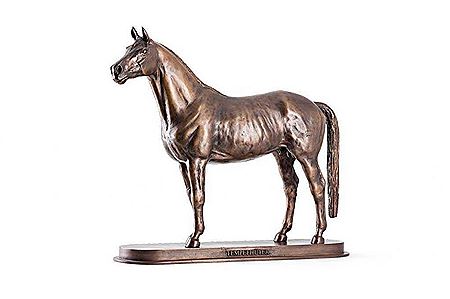 Stehendes Pferd