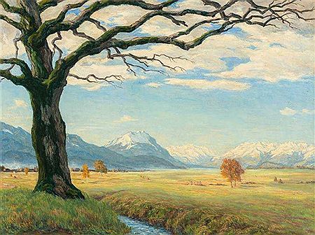 Weidelandschaft in Vorarlberg mit Gebirgszug im Hintergrund