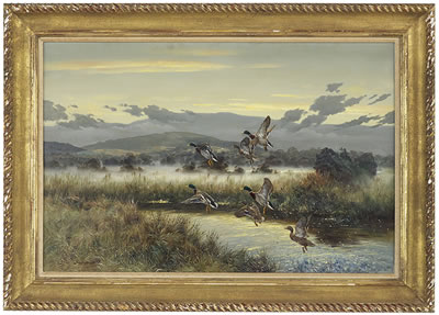 "Mallards in Flight"
