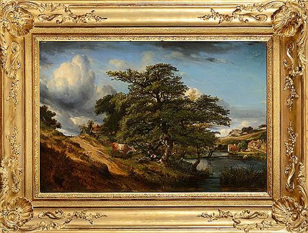 Grand chêne au bord de l’eau