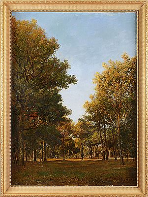 Arbres et clairière