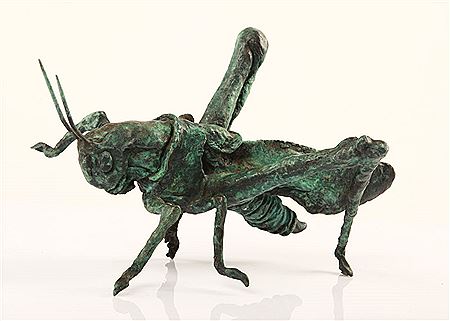 Grasshopper