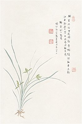 ORCHID