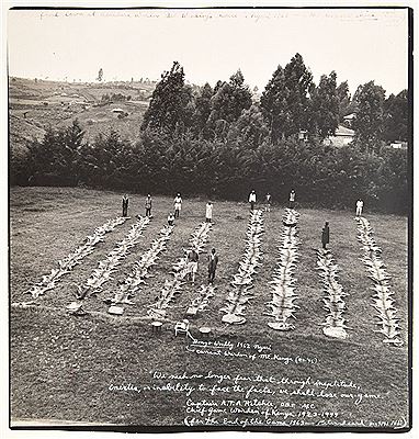 THE FRONT LAWN AT ABERDARE WARDEN BILL WOODLEY HOUSE IN NYERI.